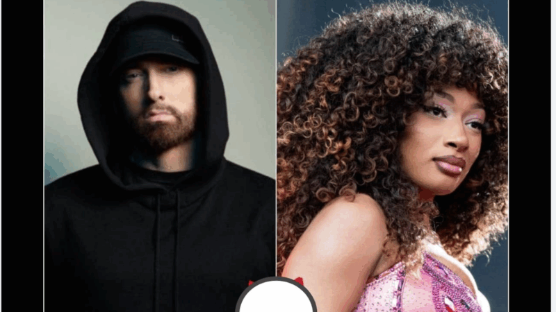 DJ Akademiks Urges Megan Thee Stallion to Steer Clear of Responding to Eminem: “It’s a Setup” 👀‼️